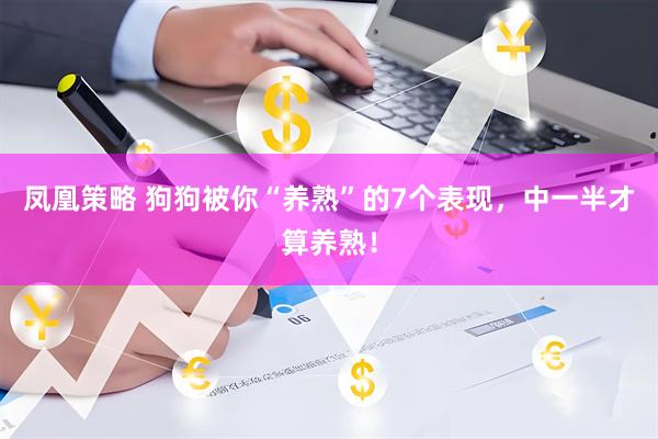 凤凰策略 狗狗被你“养熟”的7个表现，中一半才算养熟！